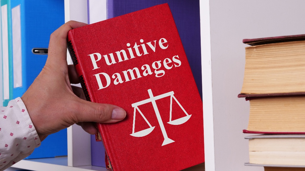 Punitive damages law book